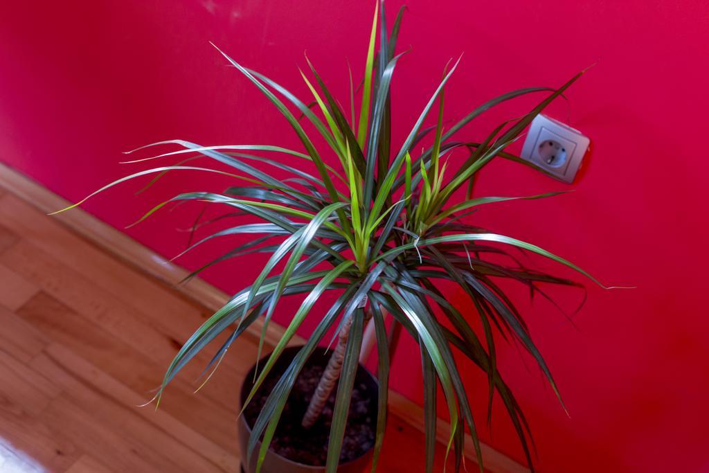 Ava Apartmani Zablaće Extérieur photo